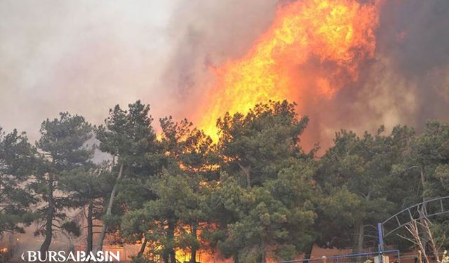 Gelibolu Orman Yangınına Hava ve Kara Müdahalesi Başlatıldı