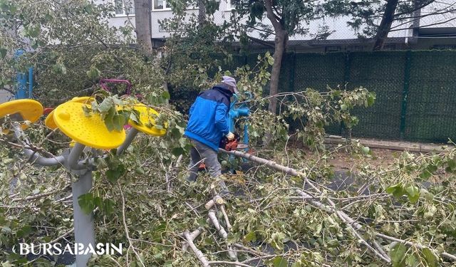 Avcılar'da Parkta Ağaç Devrildi, 3 Çocuk Hafif Yaralandı