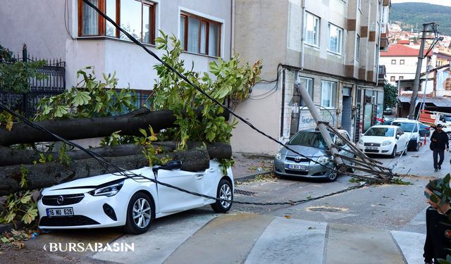 Bursa'da Lodos: Ağaç ve Elektrik Direği Araçların Üzerine Devrildi