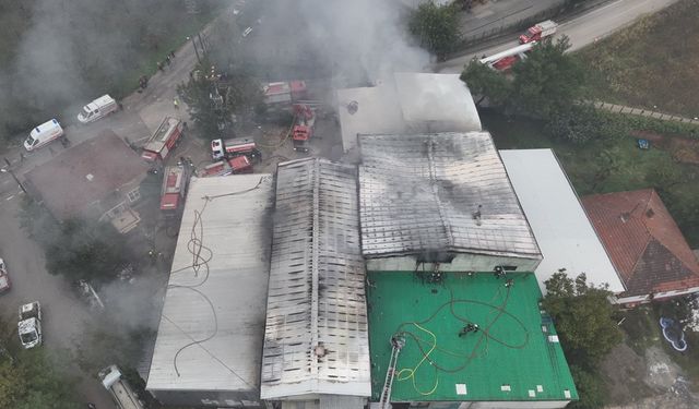 Bursa'daki Sünger Fabrikasında Çıkan Yangın Hasara Neden Oldu