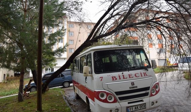 Bilecik'te park halindeki minibüsün üzerine ağaç devrildi