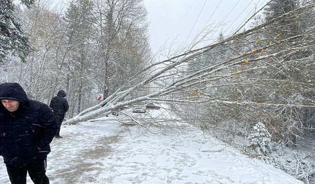 Bolu, Karabük, Sakarya ve Zonguldak'ta kar yağışı