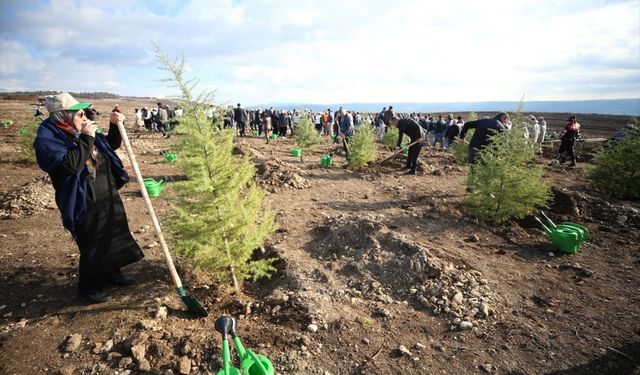 Çanakkale'de 54 bin 750 fidan toprakla buluşturuldu