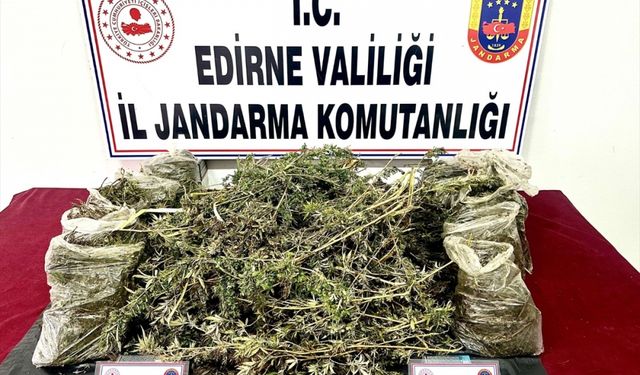 Edirne'de uyuşturucu operasyonunda 1 kişi tutuklandı