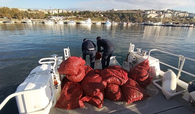 Tekirdağ'da 1 ton 500 kilogram kum midyesi ele geçirildi