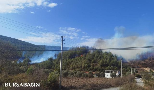 Yatağan Orman Yangınına Ekiplerin Müdahalesi Sürüyor