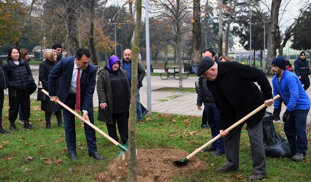 Şiddetli lodosta yıkılan ağaçların yerine yenileri dikiliyor