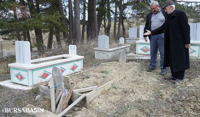 Kastamonu'nun Ağlı İlçesinde Ayılar Mezarları Kazmaya Başladı