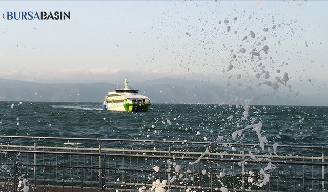 Bursa-İstanbul Deniz Otobüsü Seferleri Hava Koşulları Sebebiyle İptal