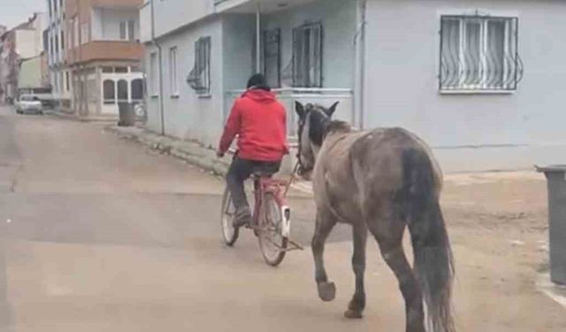 Bursa’da atı bisikletine bağlayarak götürdü