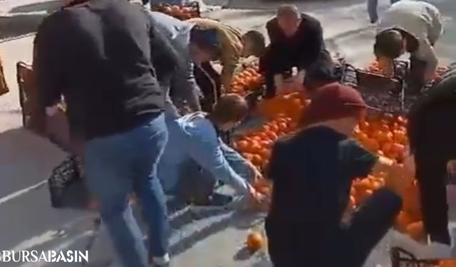 Bursa'da Yola Saçılan Mandalina Kasalarına Anında Müdahale