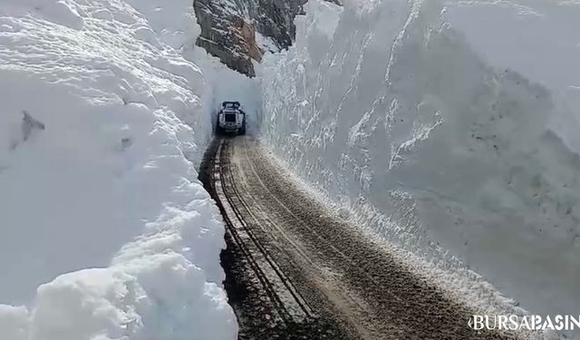 Yüksekova'da 8 Metreyi Aşan Kar Tünelleri Açıldı!