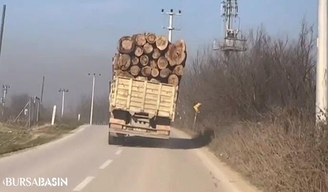 İnegöl'de Tehlikeli Kaza Anı Kamerada: Tomruk Yüklü Kamyon Devrildi!