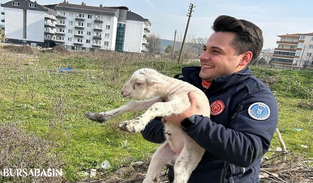 Bursa'da Kuyuya Düşen Kuzuyu İtfaiye Kurtardı