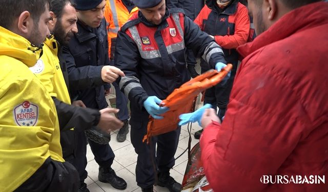 İmralı Adası'nda Batan Geminin Kalıntıları Sahile Vurdu