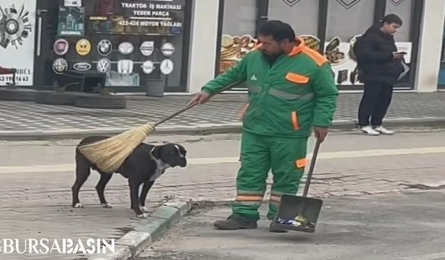 Bursa'da Temizlik Görevlisi Sokak Köpeğini Süpürgeyle Temizledi