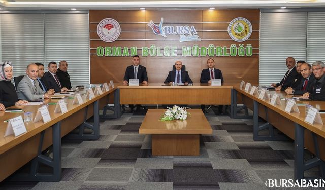 Ormanlarda Piknik Yasağı: Yangın Riski Azaltmak İçin Adım Atıldı