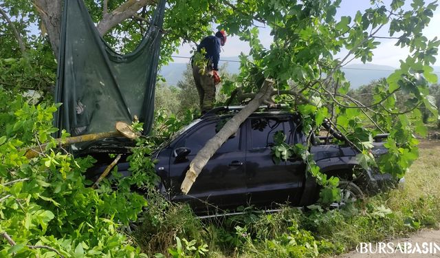 Bursa'da Kamyonet Ağaca Çarptı: Yaralı Kurtarıldı