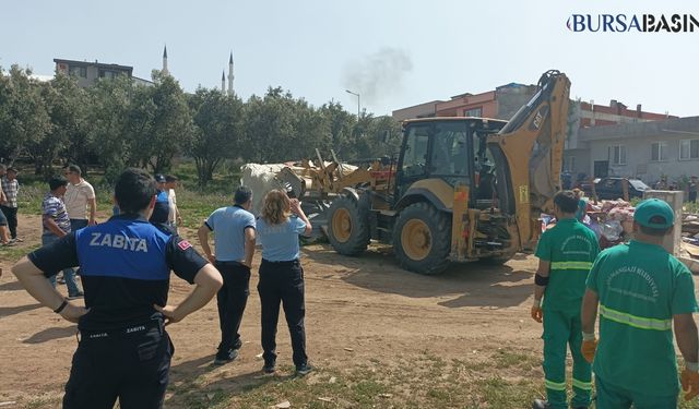 Osmangazi Belediyesi, Göçebe Çadırları ve Başıboş Atları Topladı