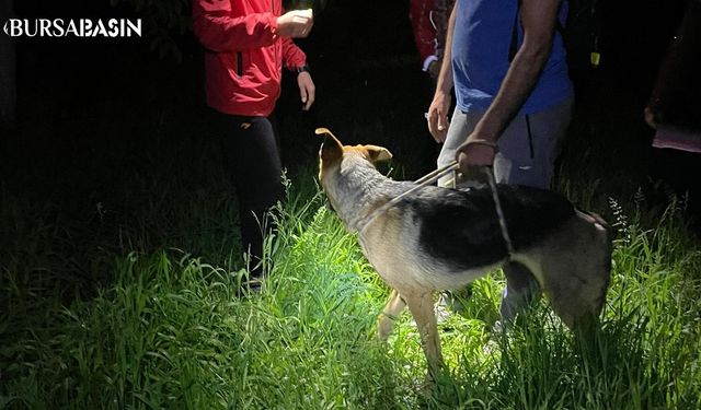 Uludağ'da Mahsur Kalan Köpek Kurtarıldı