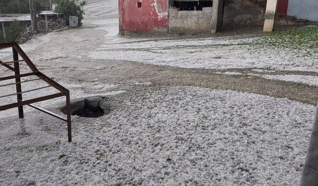 Doğa felaketi ve İyileşme: Atabağı'nın hikayesi