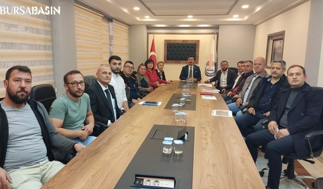 Yenişehir'de Hayvanseverlerle İşbirliği: Sokak Hayvanlarına Doğal Barınak