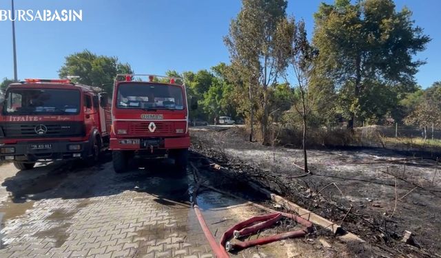 Mudanya'da Anız Yangını Kontrol Altına Alındı