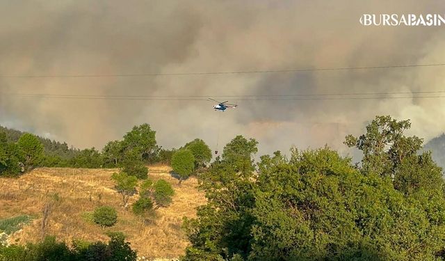 Büyükorhan'da Bin Personel Orman Yangınına Müdahale Ediyor