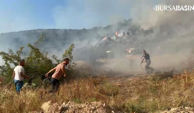 İznik'te Ormanlık Alanda Yangın Çıktı