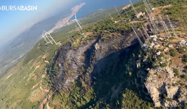 Bursa'daki Orman Yangını Gri Manzara Bıraktı