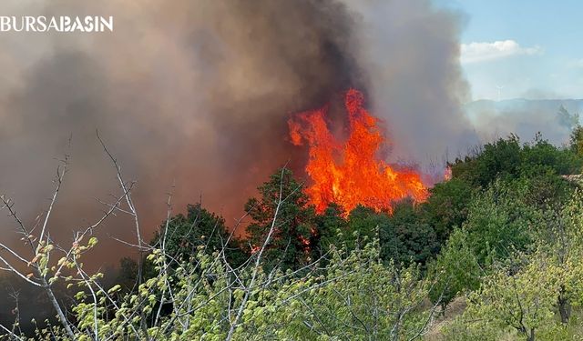 İznik’te Orman Yangınına Müdahale Devam Ediyor