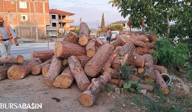 İznik'te Kamyon Virajı Alamayıp Tomrukları Saçtı