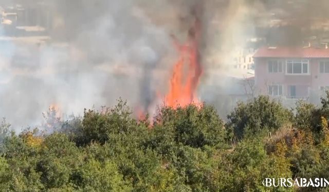 Osmangazi'de Torpille Oynayan Çocuklar Yangın Çıkardı!