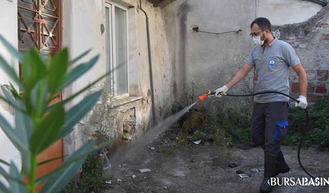 Yıldırım'da İlaçlama Çalışmaları 71 Mahallede Devam Ediyor