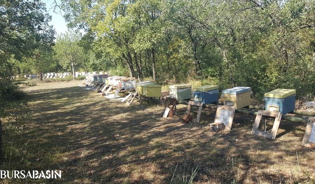 BUÜ'de Yangın Sonrası Arı Kovanları Yenilendi