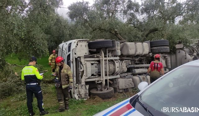 Orhangazi’de Çimento Yüklü Tanker Zeytinliğe Devrildi