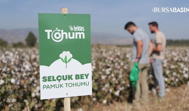 Hektaş Yerli Tohum Geliştirme Çalışmalarına Başladı