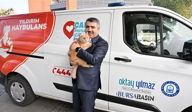 Yıldırım’da Sokak Hayvanları İçin Haybulans Hizmeti