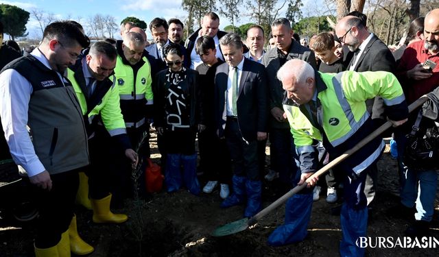 Bursa’da Zeytin Fidanları Toprakla Buluştu