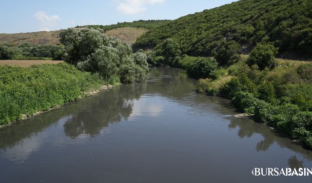 Nilüfer Çayı Marmara’daki Müsilajı Tetikliyor