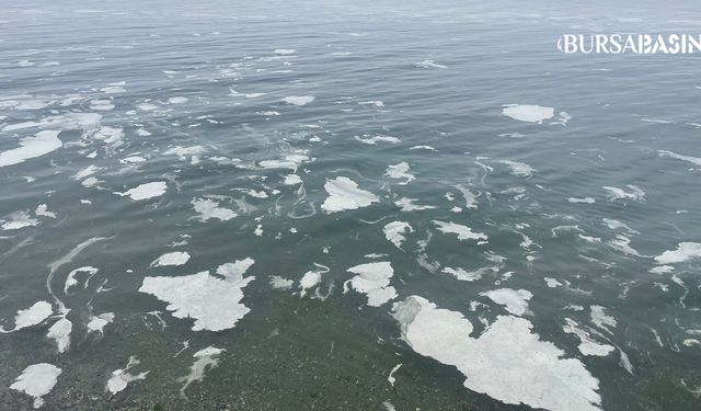 Marmara Denizi’nde Müsilaj Sorunu Kontrolden Çıkıyor