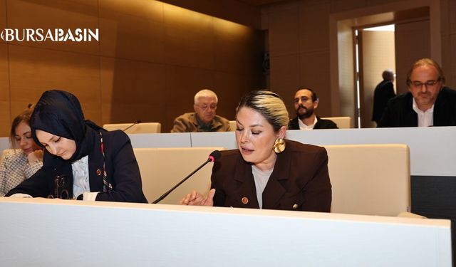 AK Partili Nazlı Tan’dan Kadıköy Belediye Meclisi’ndeki Olaylara Tepki