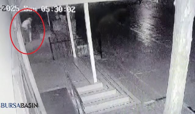 Atatürk Büstü Okul Bahçesinden Çalındı