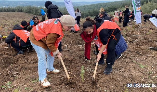 Mudanya’da 10 Bin Fidan Toprakla Buluştu