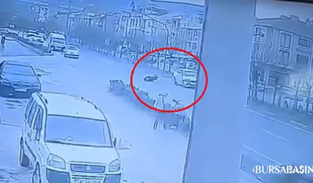 Gemlik'te Otomobilin Çarptığı 73 Yaşındaki Kamil Baki Öldü