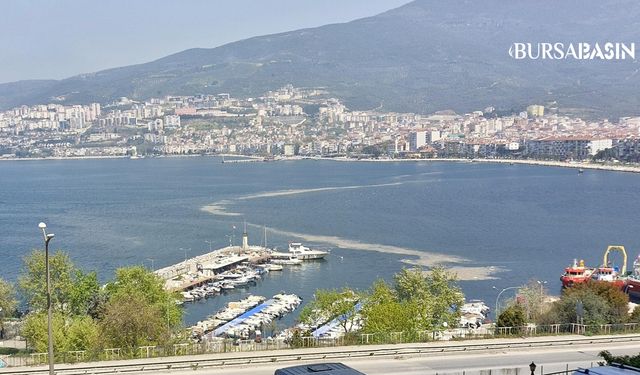 Gemlik Körfezi’nde Müsilaj Kabusu Geri Döndü