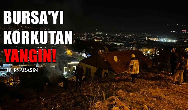Bursa Gemlik’te Odunluk Yangını
