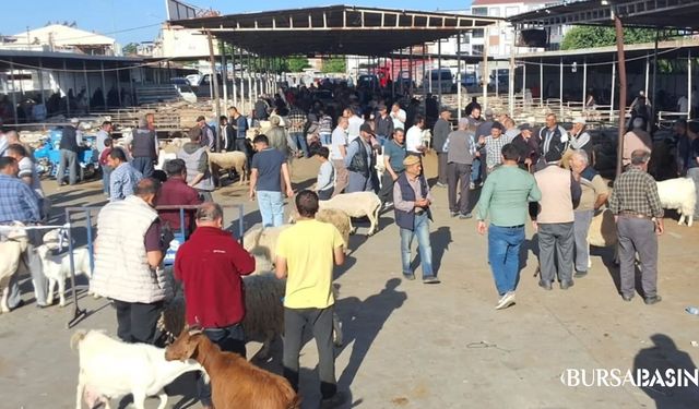 Havran’da Kurbanlık Pazarı Sıkı Denetimde