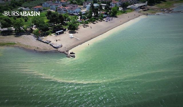 İznik Gölü'nde kirlilik alarmı: Göl çamura bulandı
