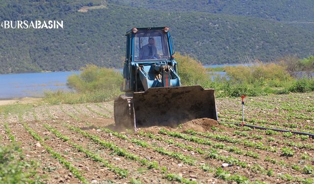 DSİ Gölbaşı’nda Sebze Ekim Alanlarını Sürdü